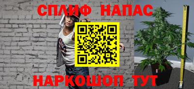 тгк Славгород