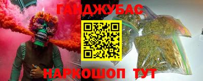 СК Сланцы