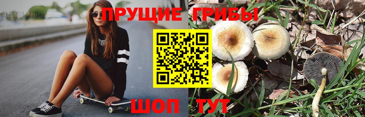 Псилоцибиновые грибы Psilocybine cubensis  Галлюциногенные грибы ЛСД  Вход с VPN  Ртищево 
